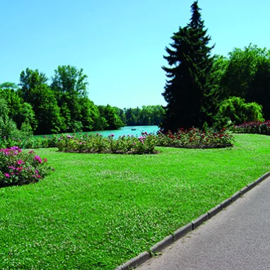 Parc de la tête d'or