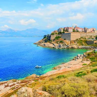 Calvi Calvi