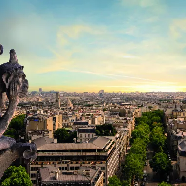 Vol Paris Paris