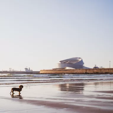 Plage de matosinhos 