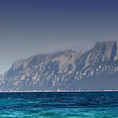 Olbia olbia