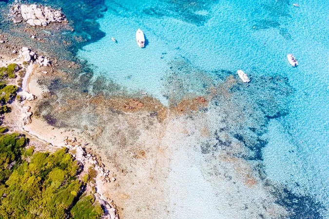 Figari