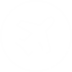 Flugzeug