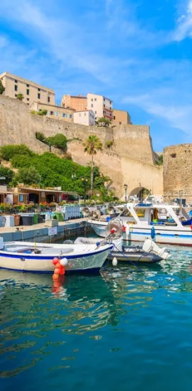 Calvi