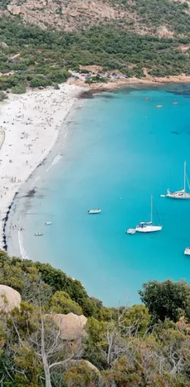 Figari